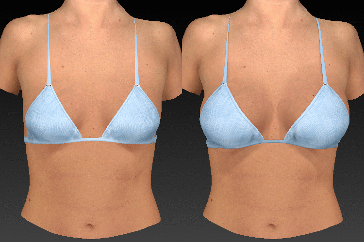 breast-sculptor-blue-animation_large